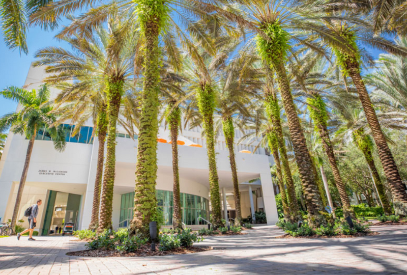 Students walking through campus